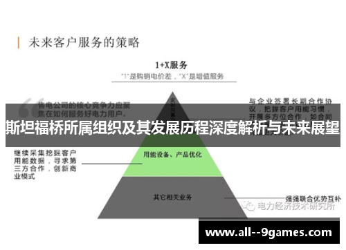 斯坦福桥所属组织及其发展历程深度解析与未来展望
