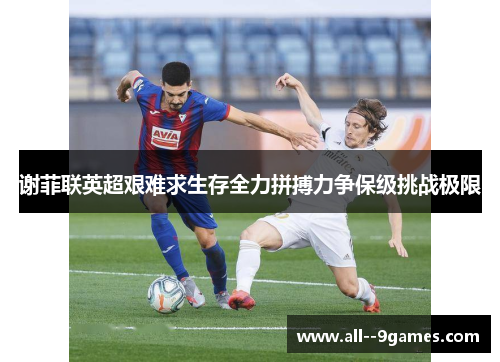 谢菲联英超艰难求生存全力拼搏力争保级挑战极限 谢菲联英超艰难求生存全力拼搏力争保级挑战极限